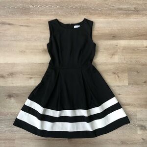 Calvin Klein Sleeveless Fit And Flare Dress, Size 4